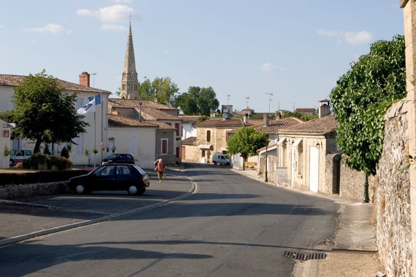Touriga Nacional Selezione